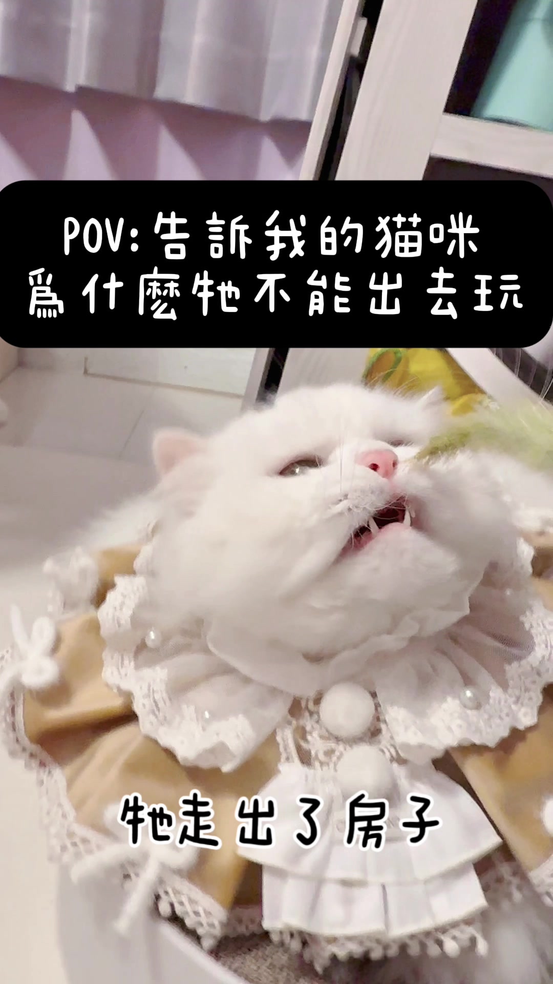 @小步舞曲の步