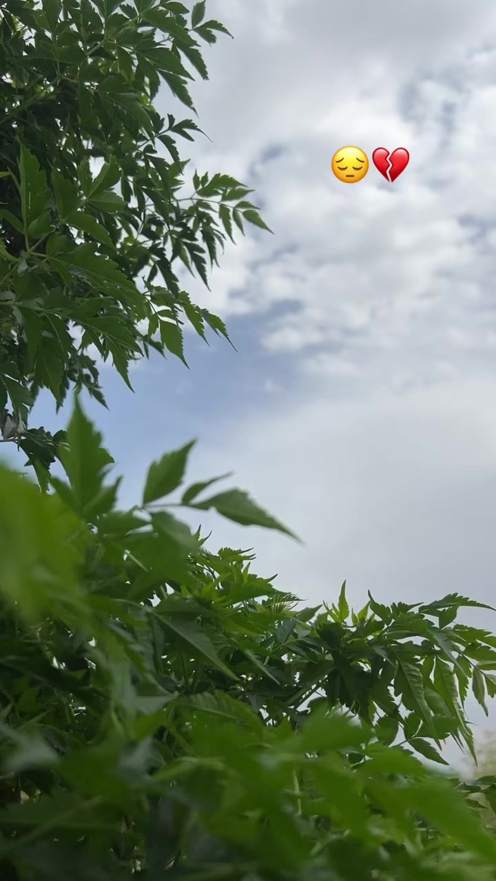 @راحآــ💔ــين