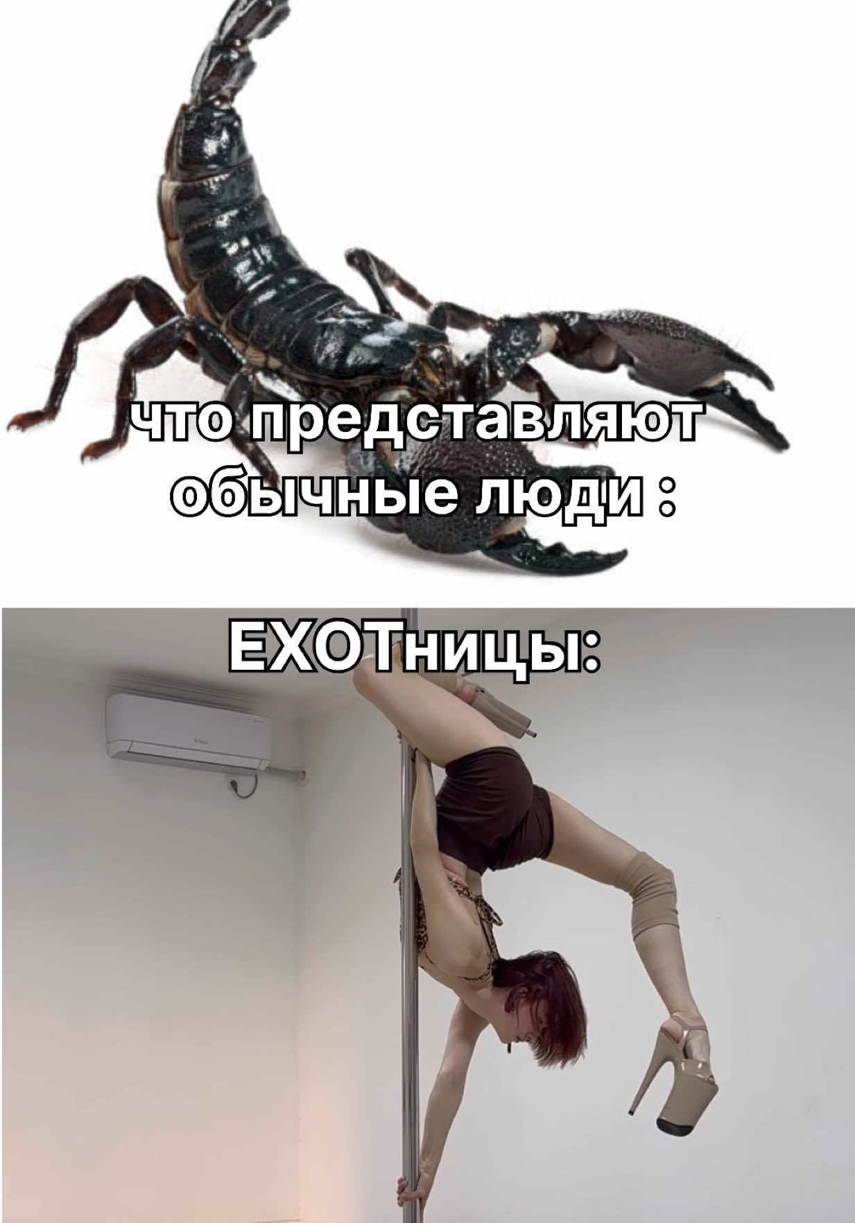 @VDEVIL