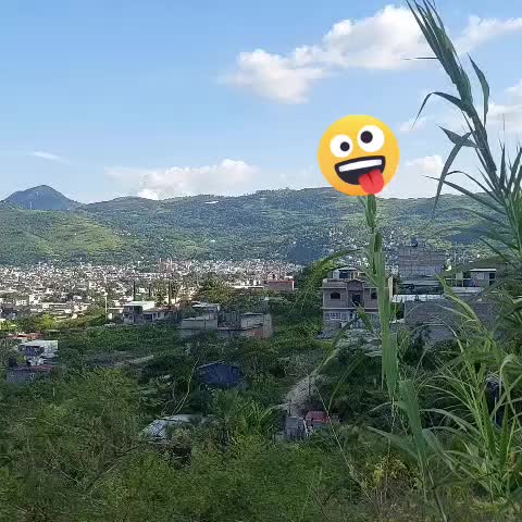 @Senovio Senovio