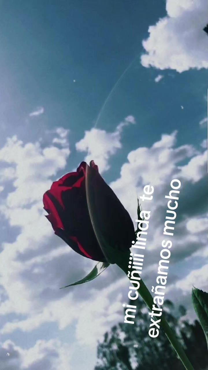 @CLAUDIA RAMOS