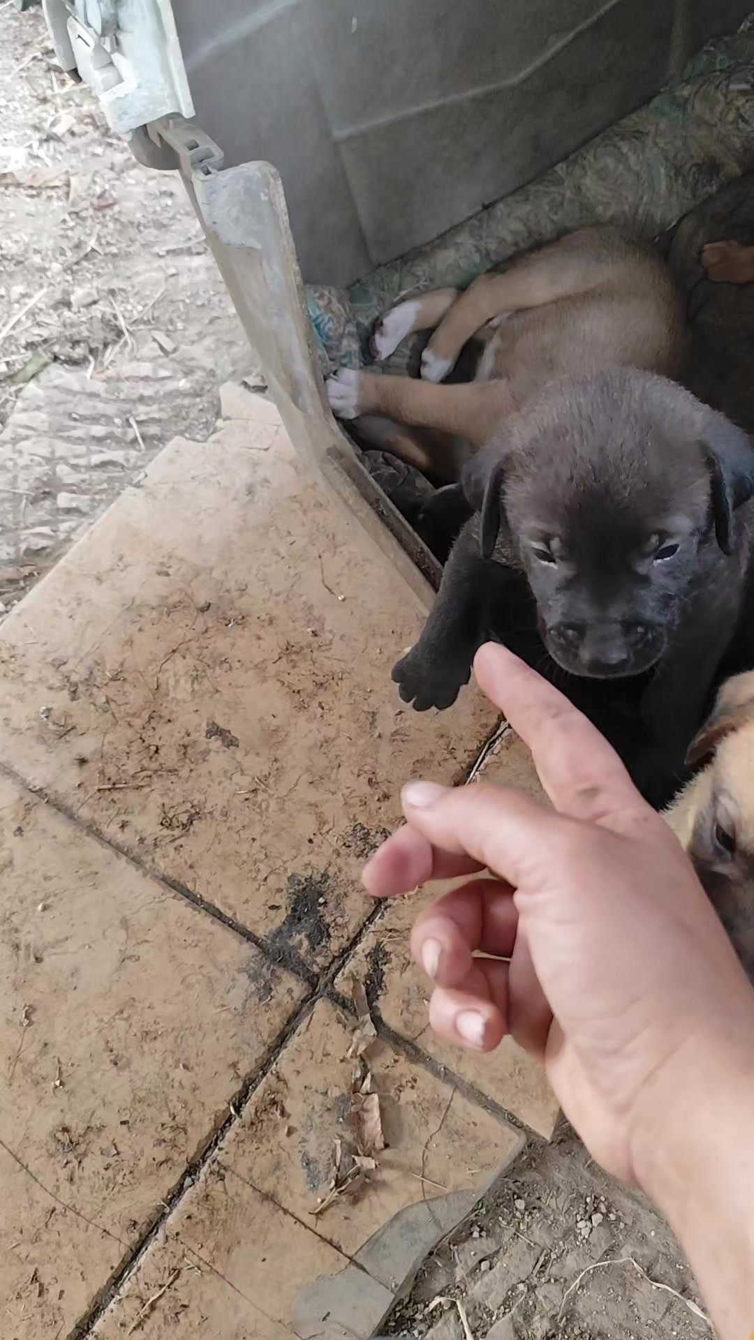 @Io e la mia karmela 🥰