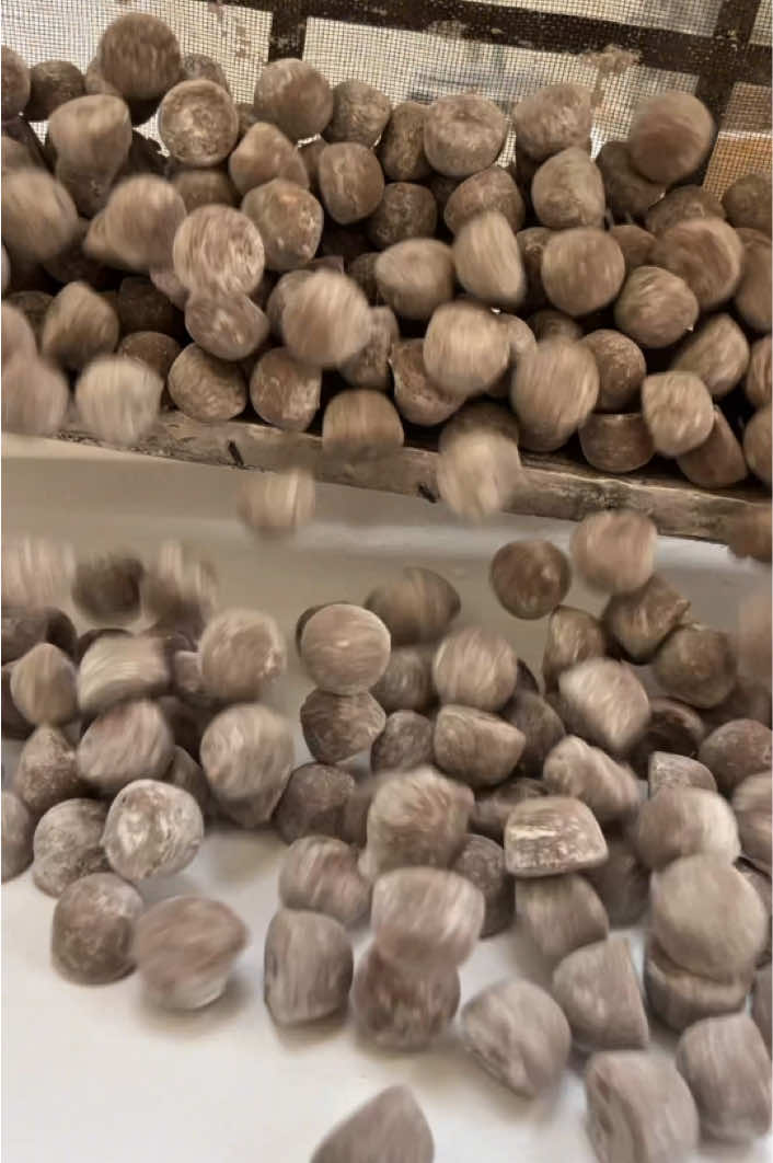 @HerculesCandy