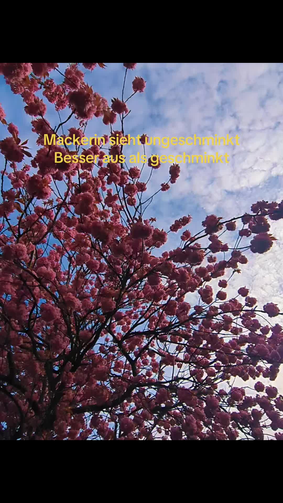 @⋆˚࿔ 𝐎𝐬𝐜𝐚𝐤𝐞𝜗𝜚˚