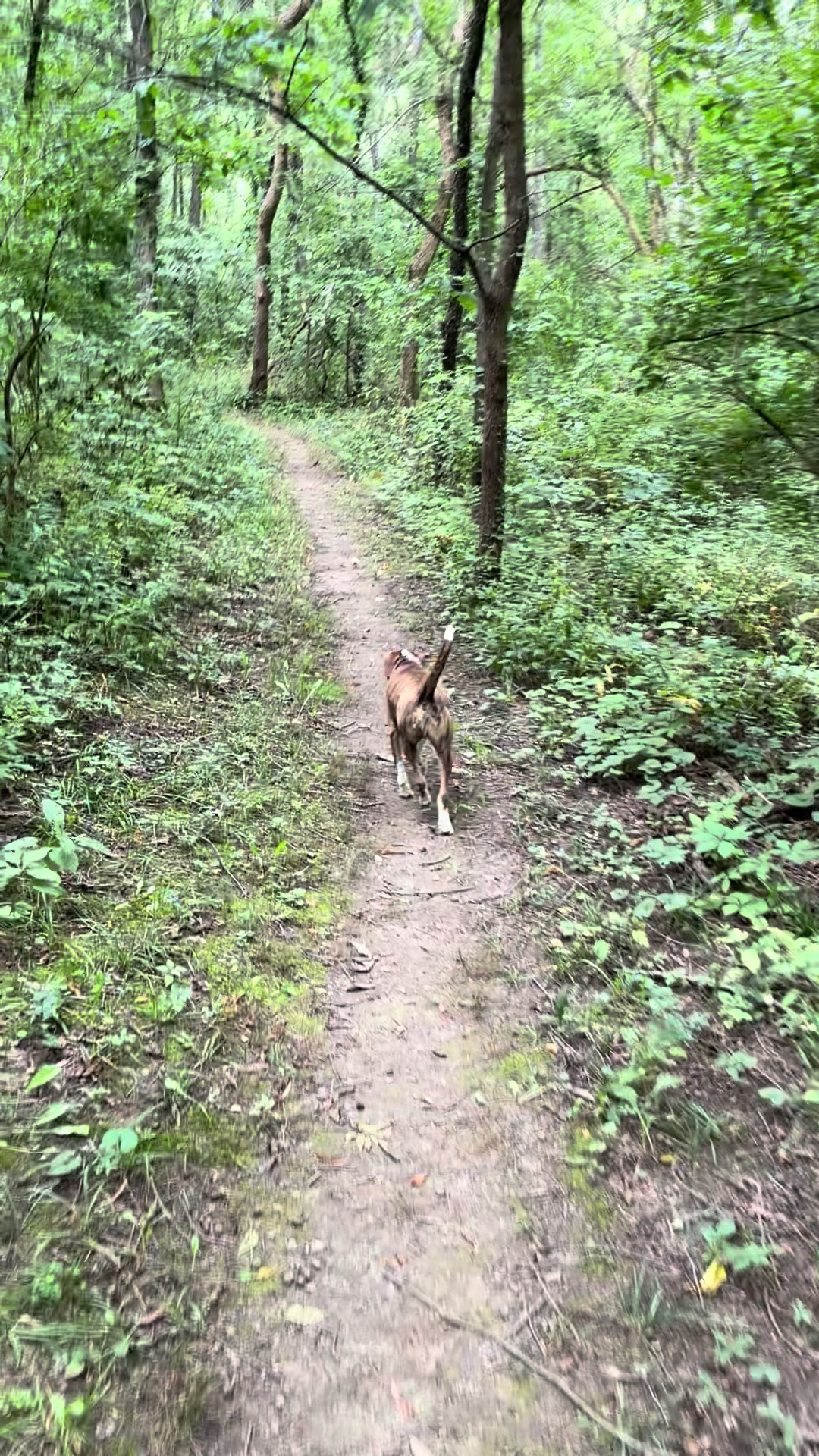 @Hikingwithstanley
