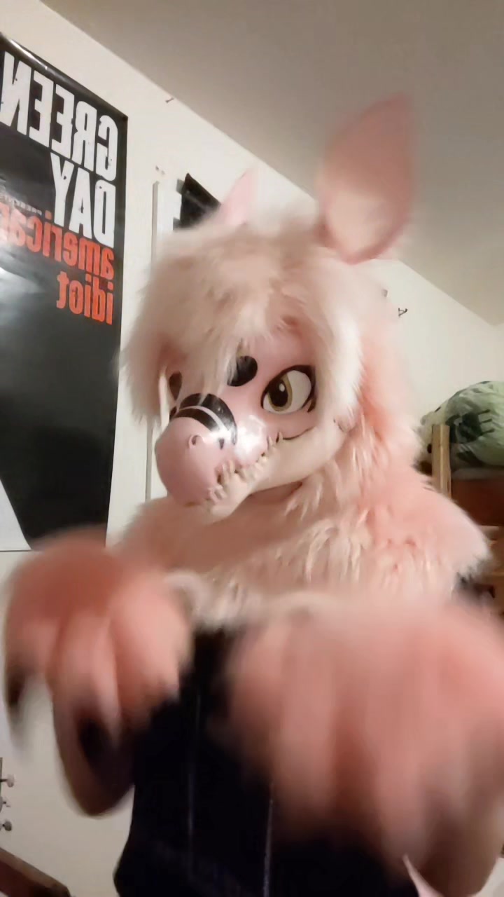 @frostbite_&_lotus <3