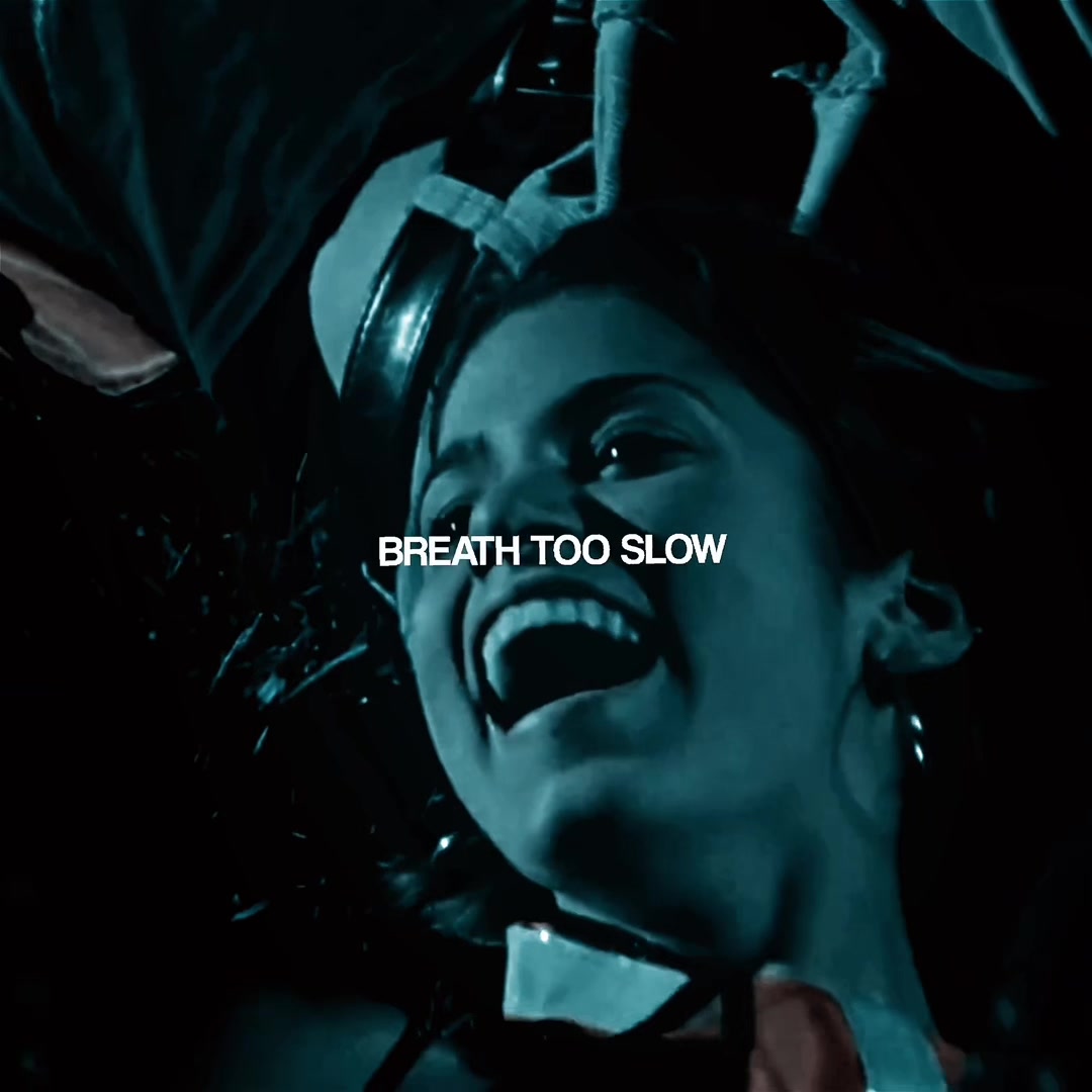 @🦇