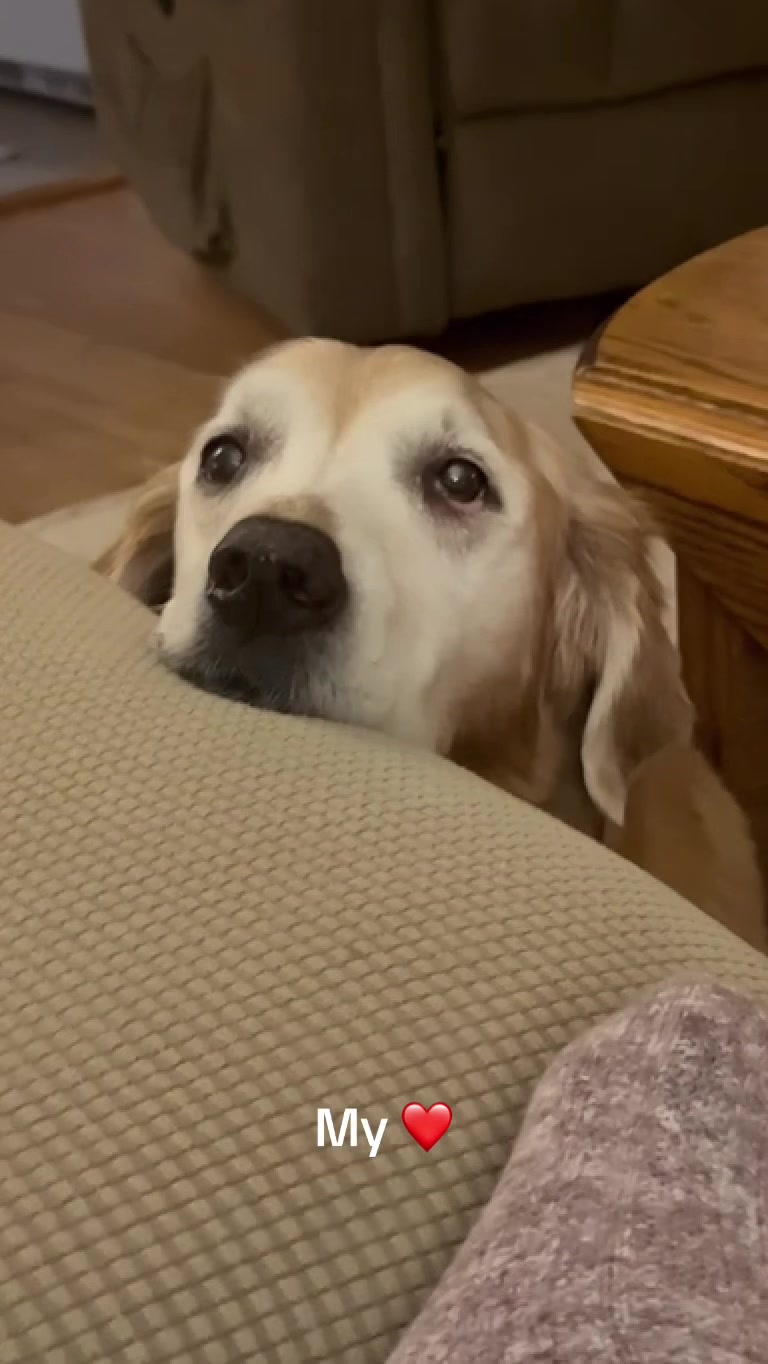 @lifewithduke2025