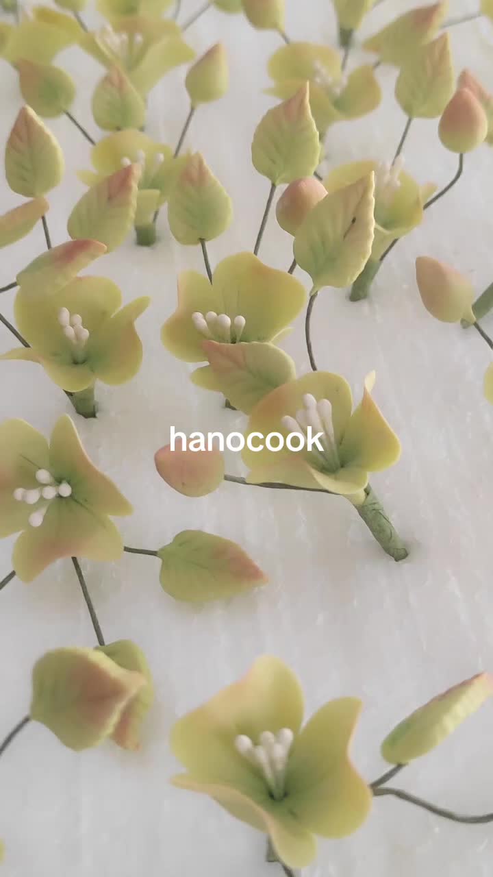 @hanocook