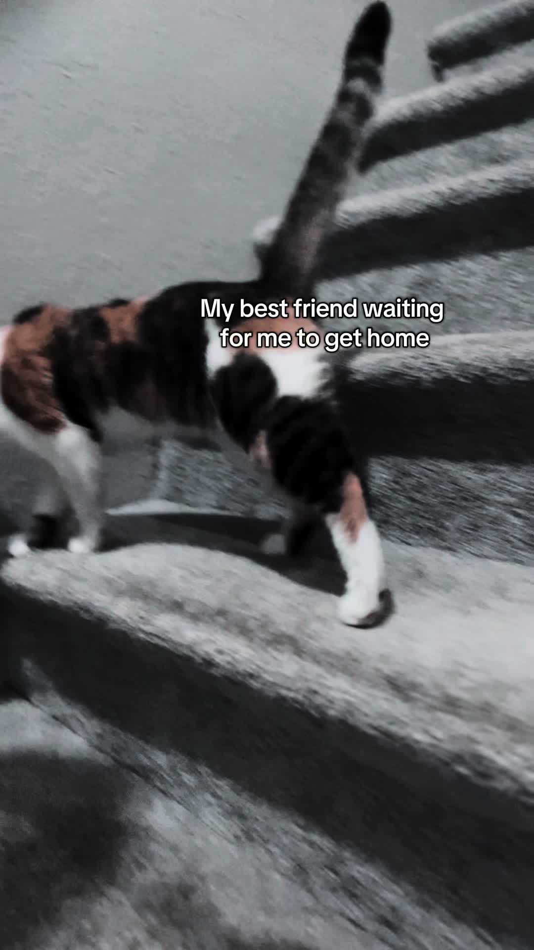 @Mike
