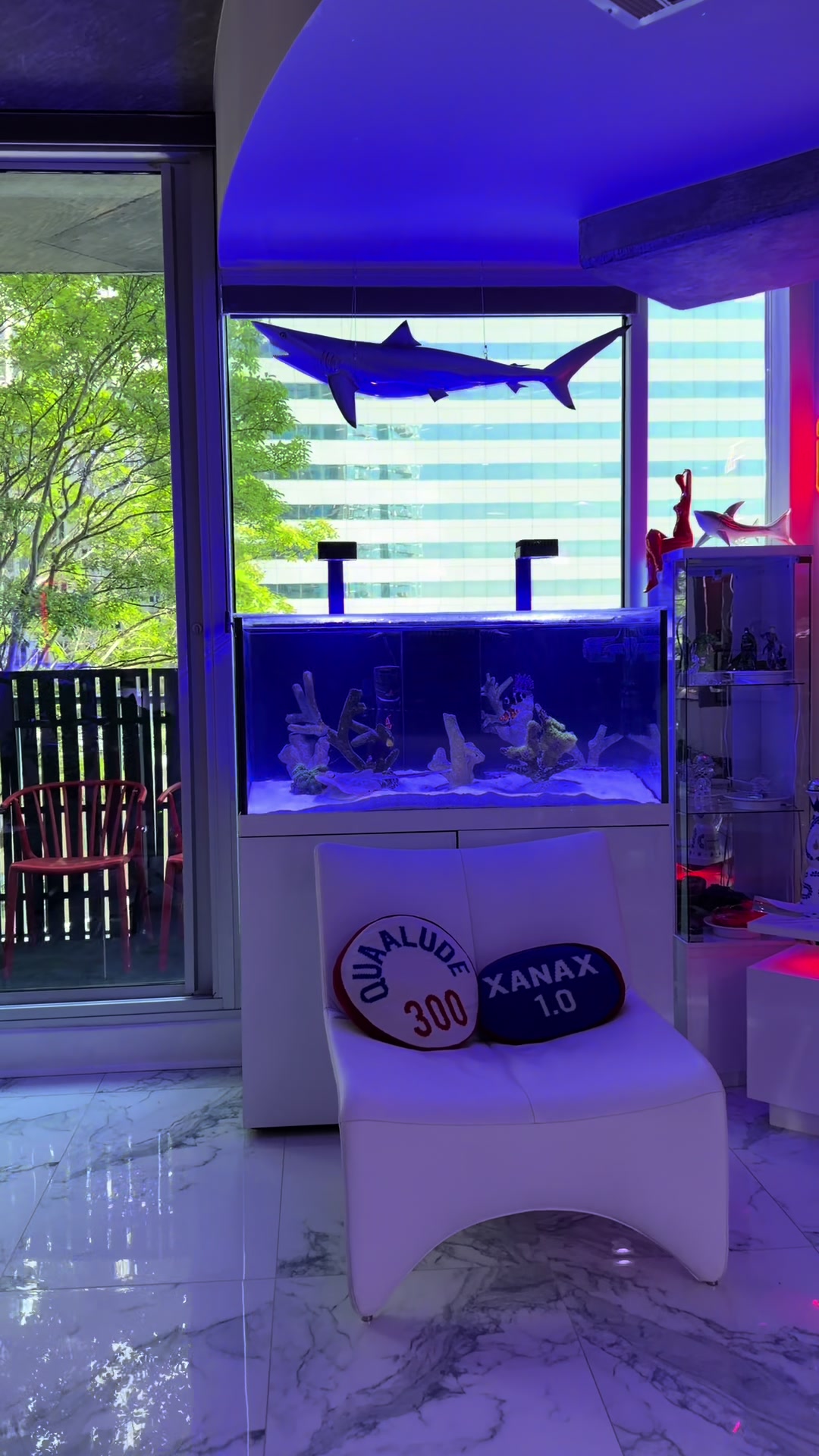 @OnlyFins