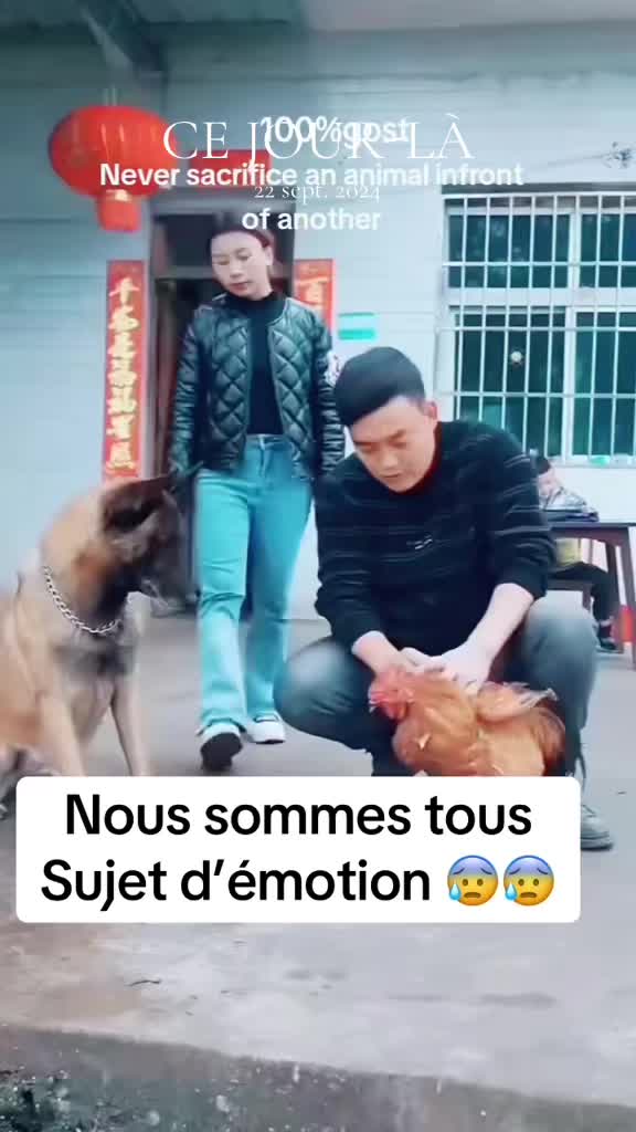 @lady.cosmopolite