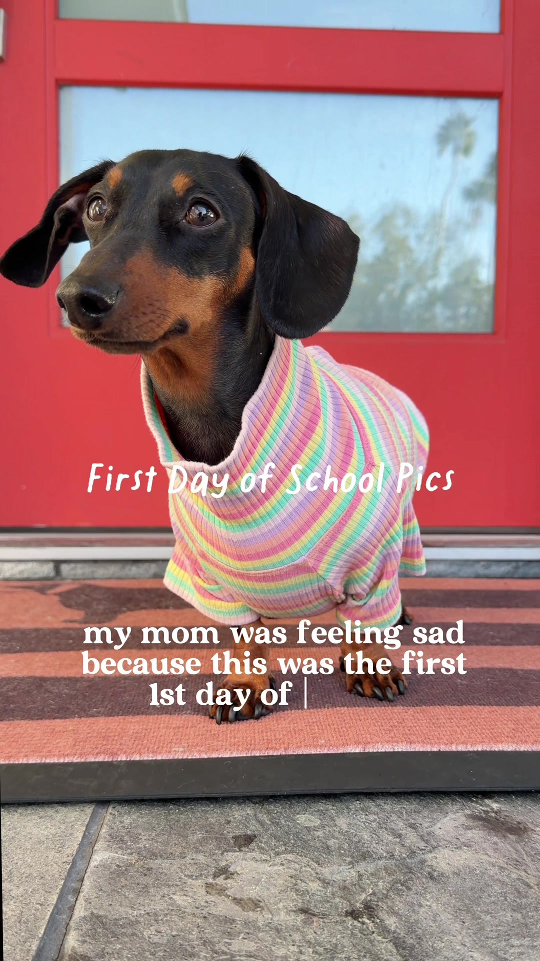 @Penny the Dachshund