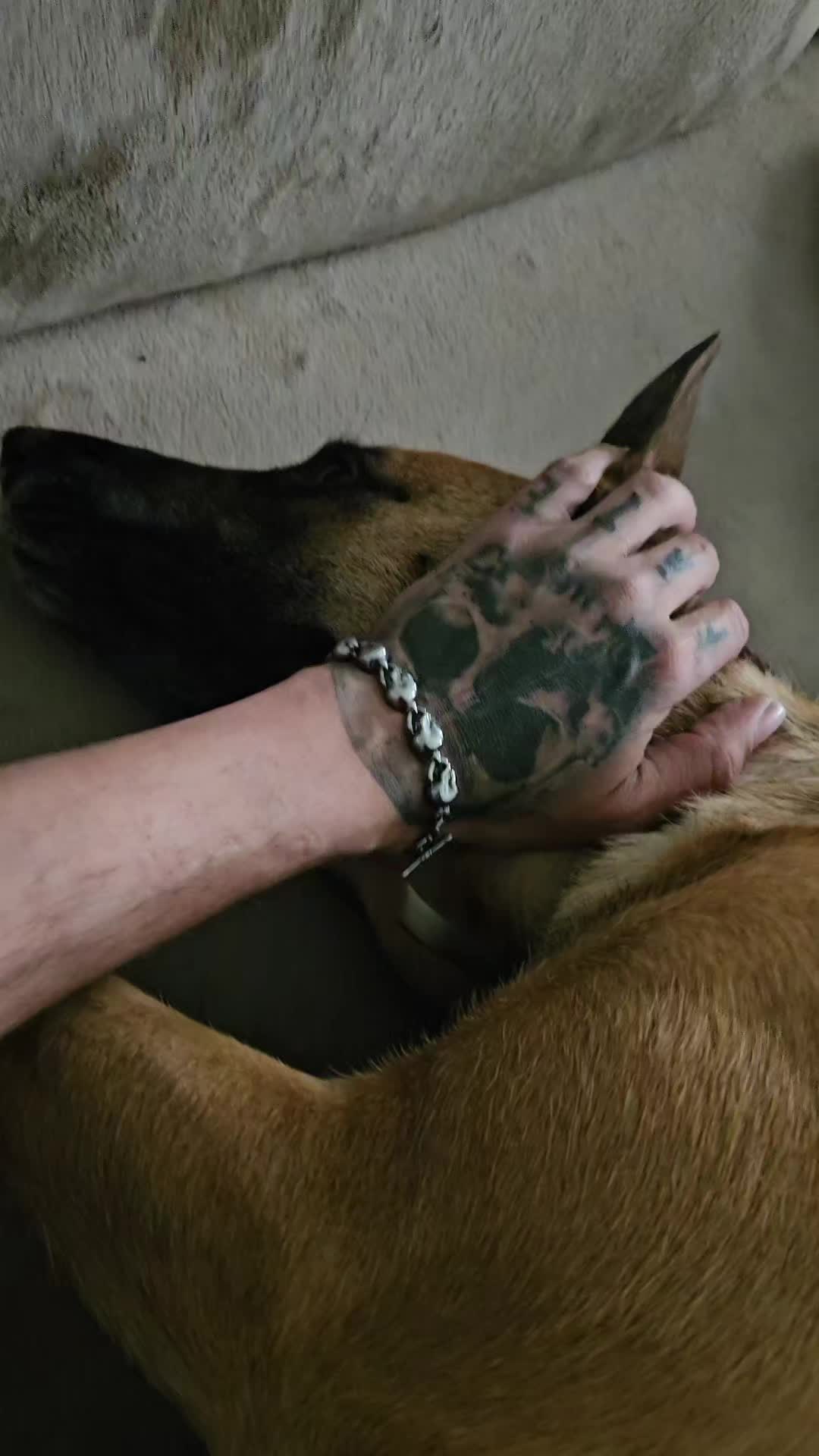 @Poppy Malinois, Korina & 🤡