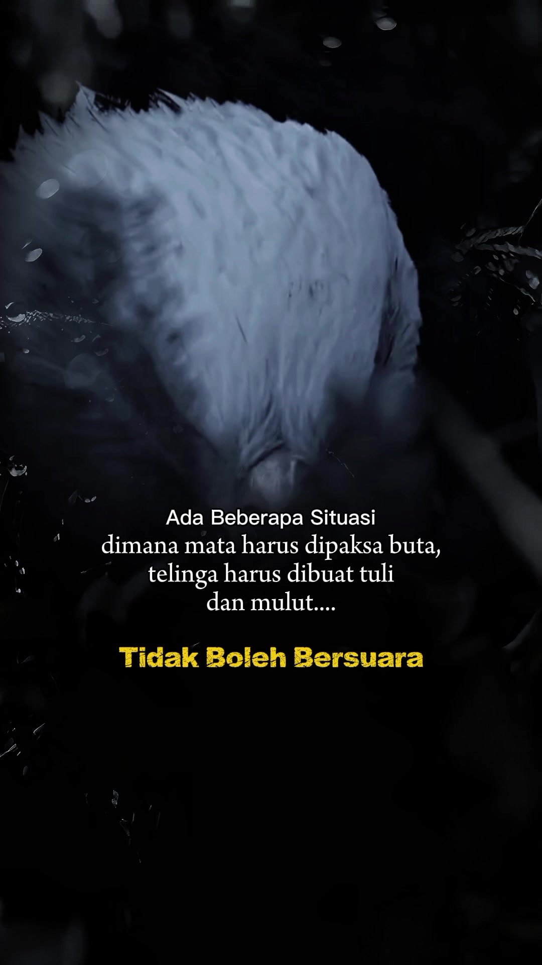 @sekedar kata🕊️