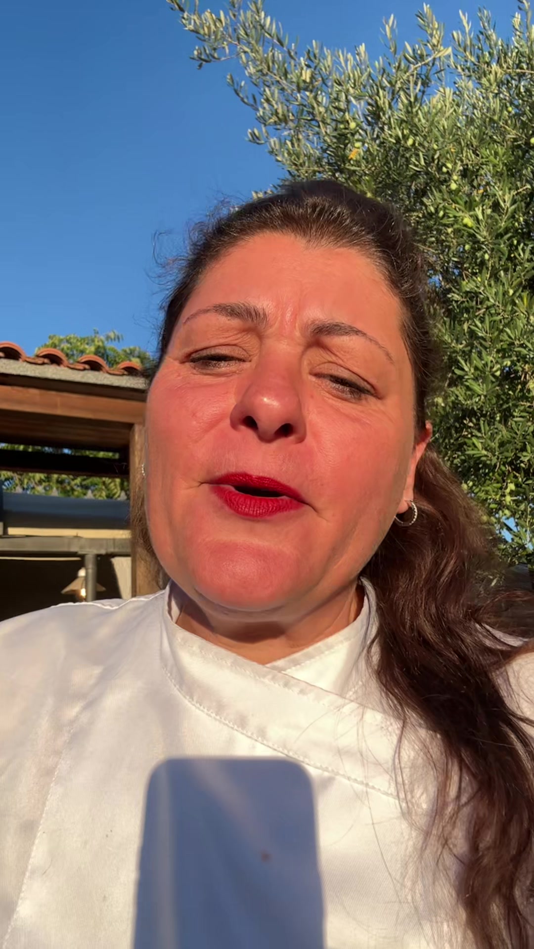 @Bouganvilleilritorno