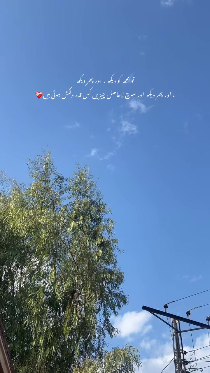 @Hamid Ali khan