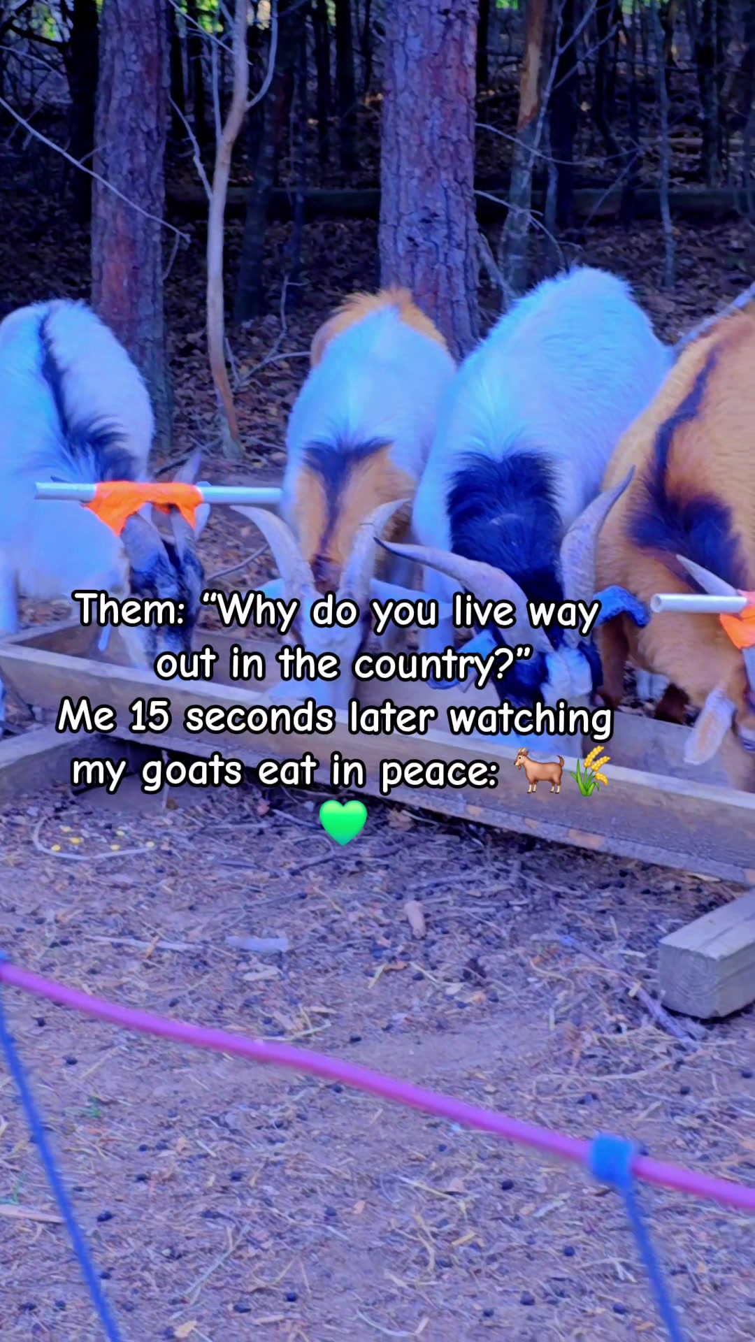 @Meakahomestead_00