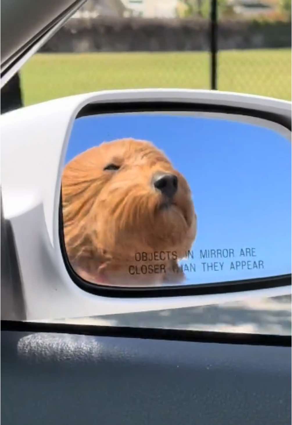 @TuckerTheTurlockDoodle
