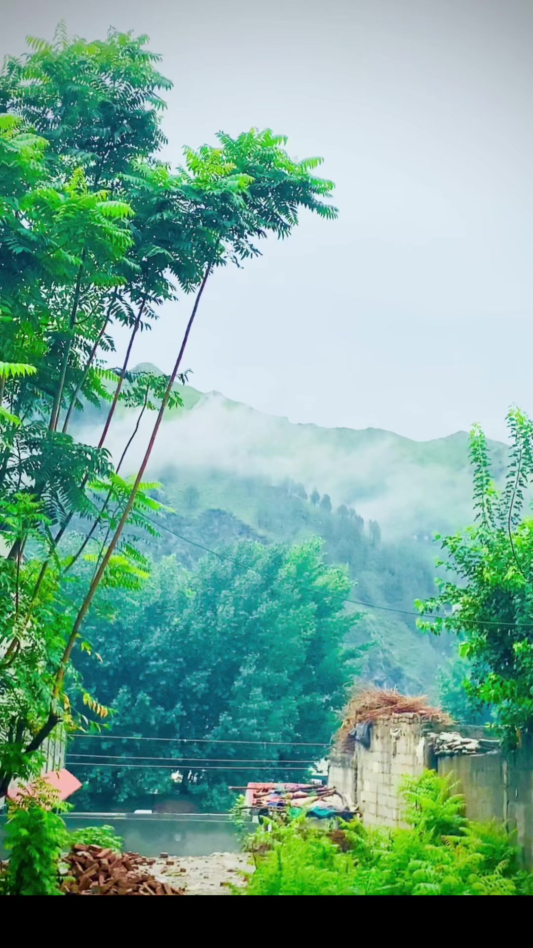 @غنی 🍁