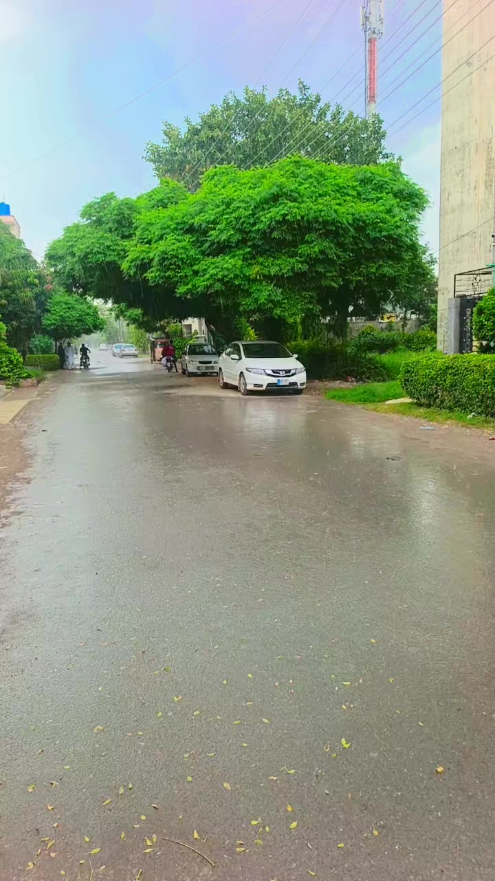 @میوء بادشاہ 👑👑👑