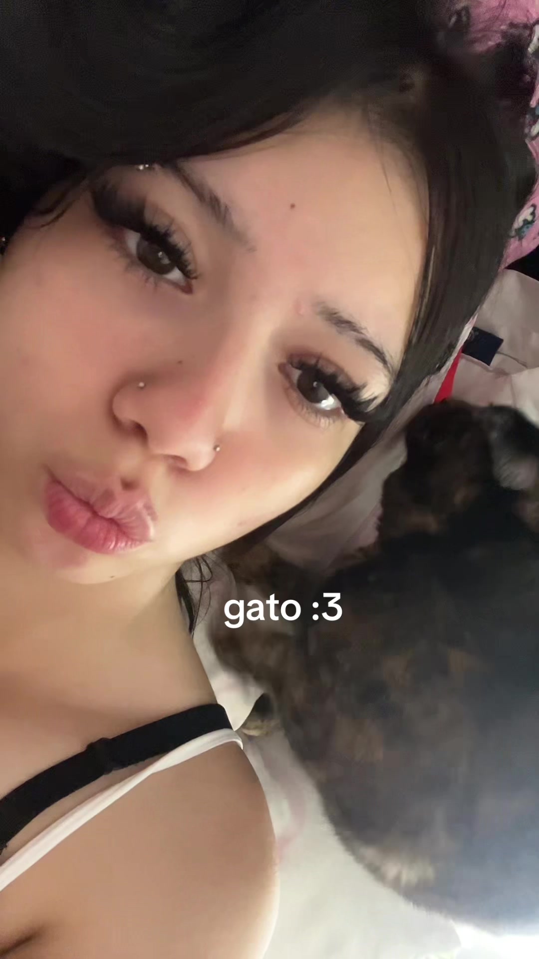 @heesnovia