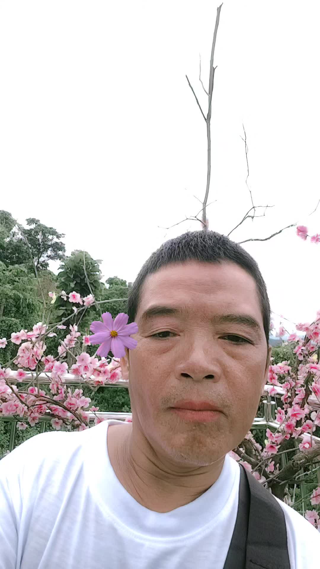 @saitai
