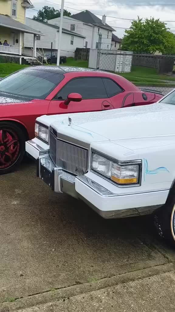 @85cutlsx