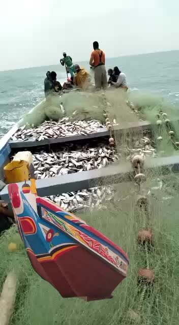 @MADOU S&Eacute;N&Eacute;