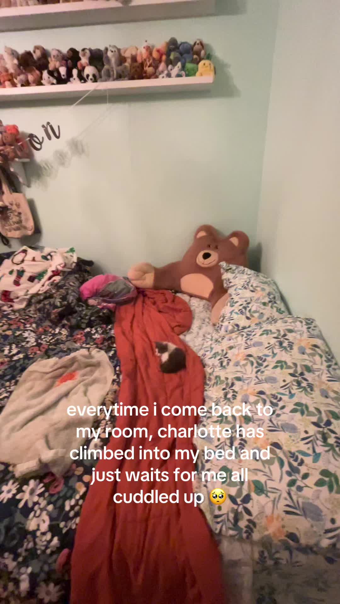 @anna🦫