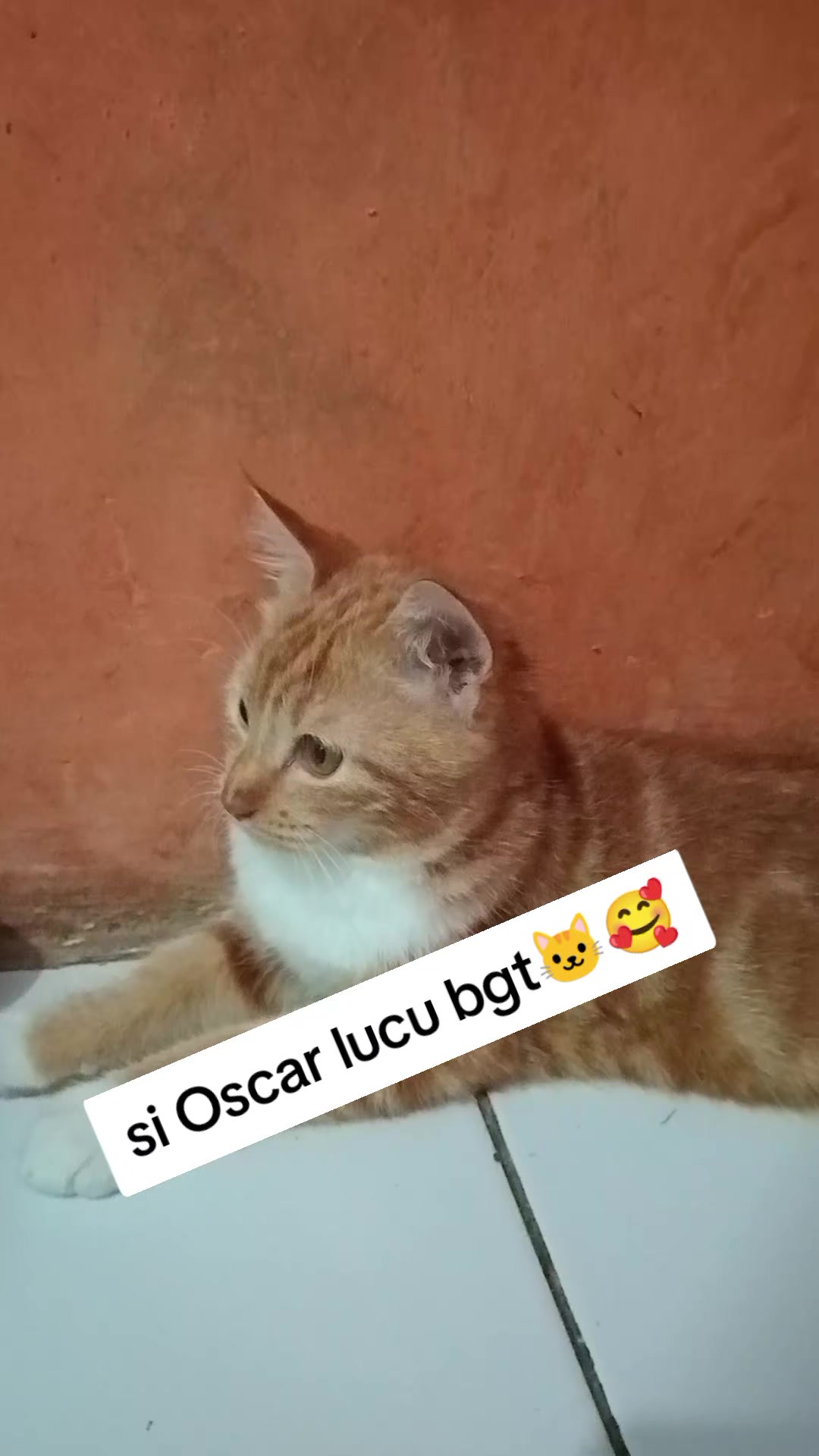 @Rizqi