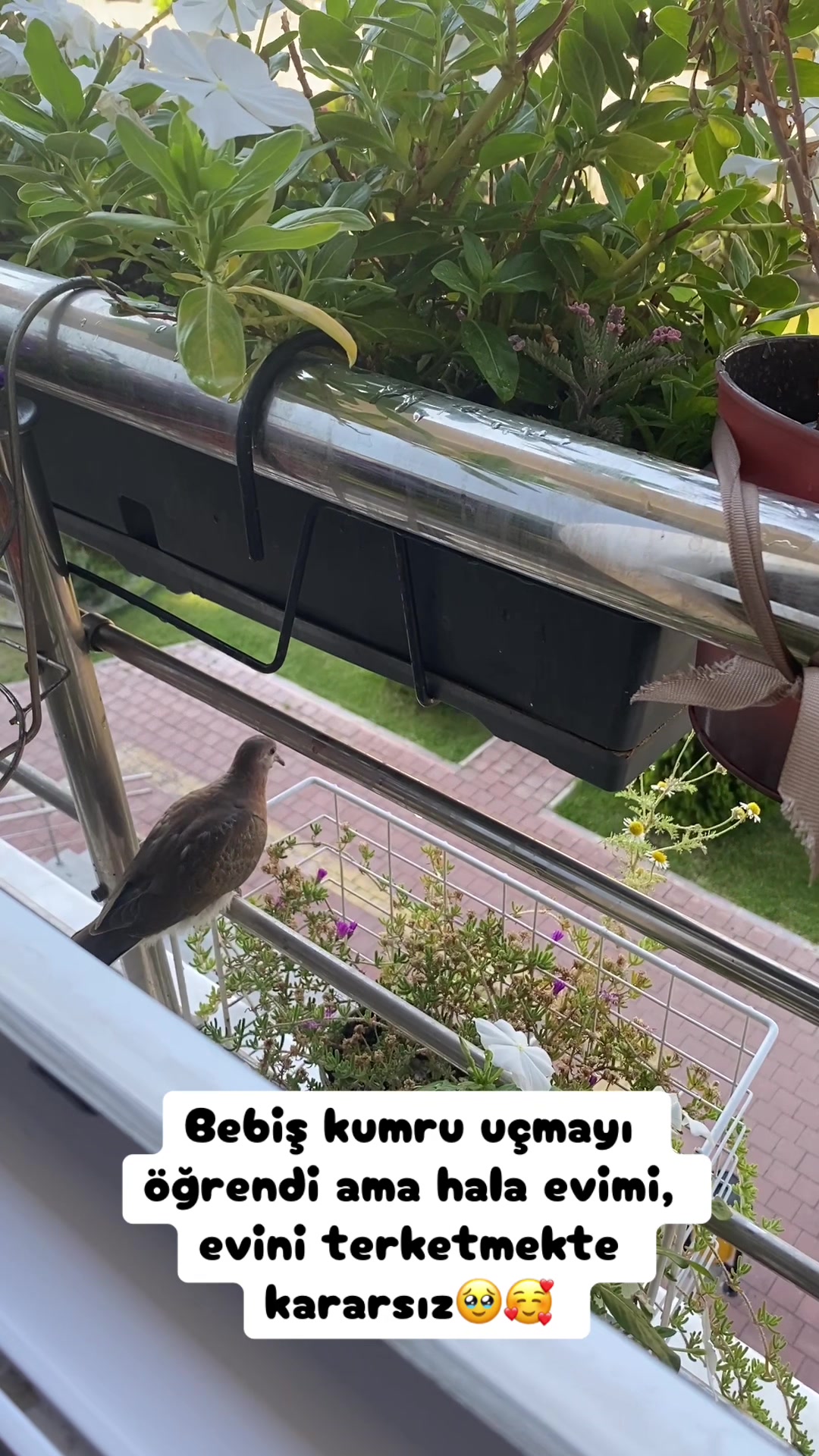 @Şapkalı Kadın