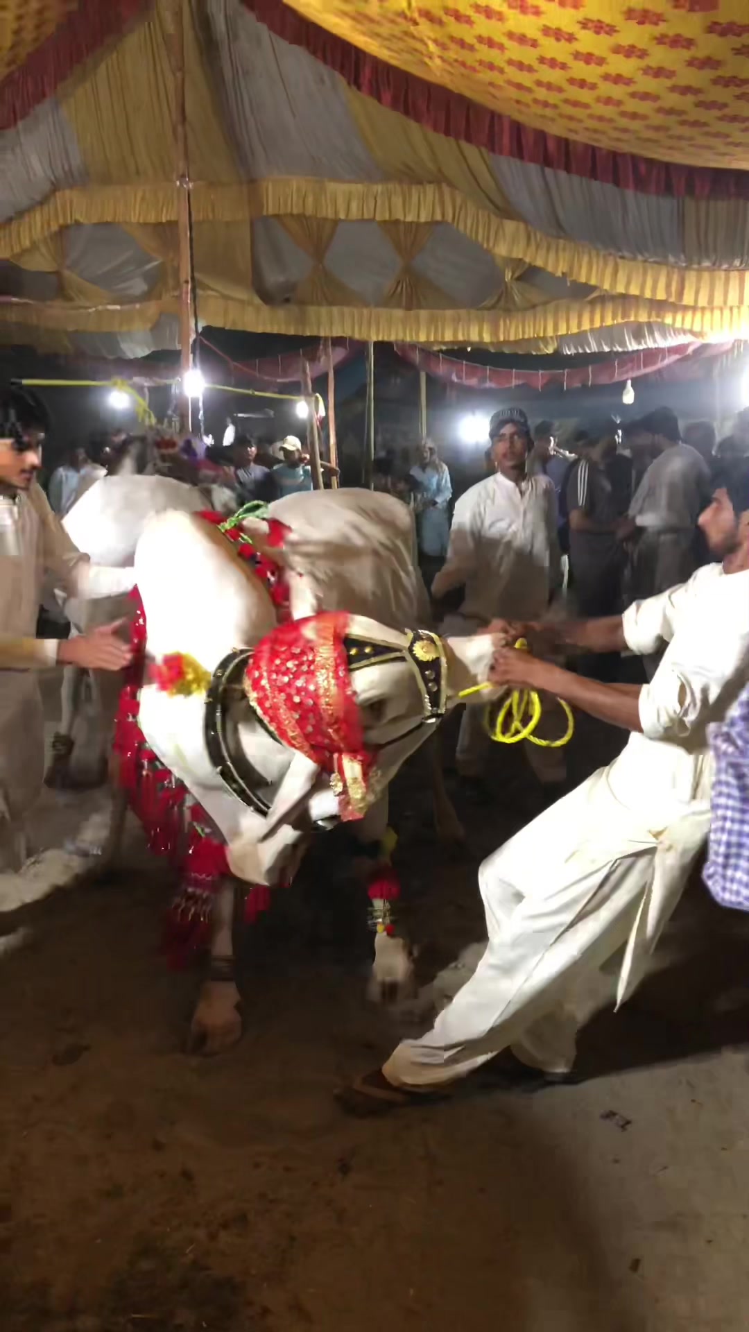 @GUJJAR🥷🏿