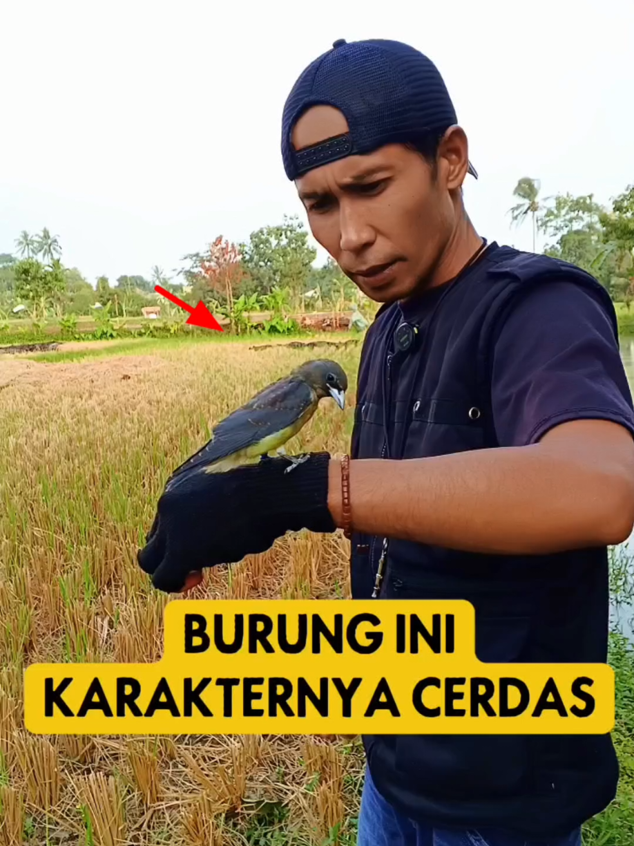 @BANG LEYON