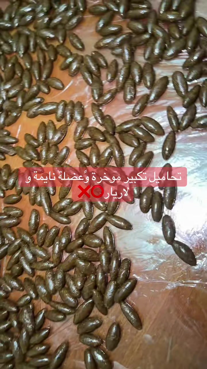 @souma_bio