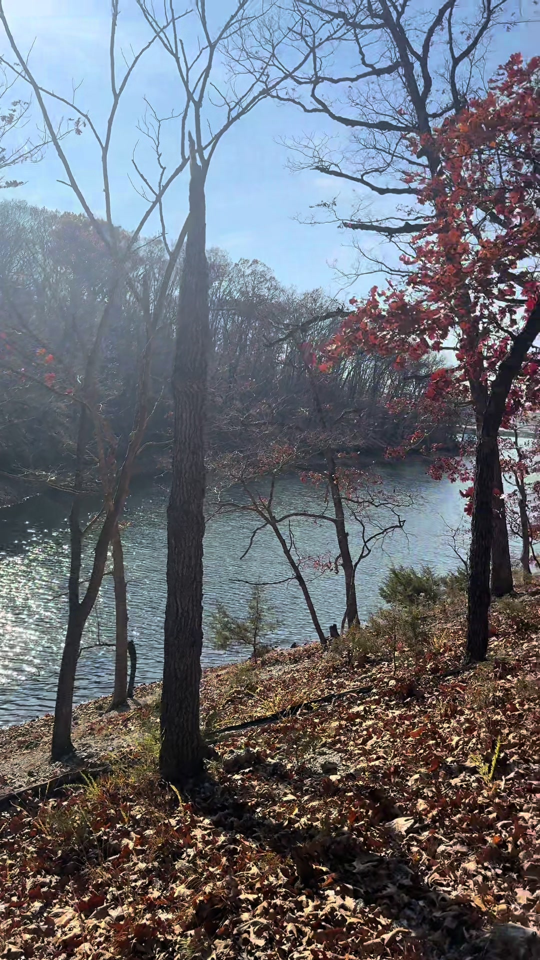 @Sarah Sells the Lake