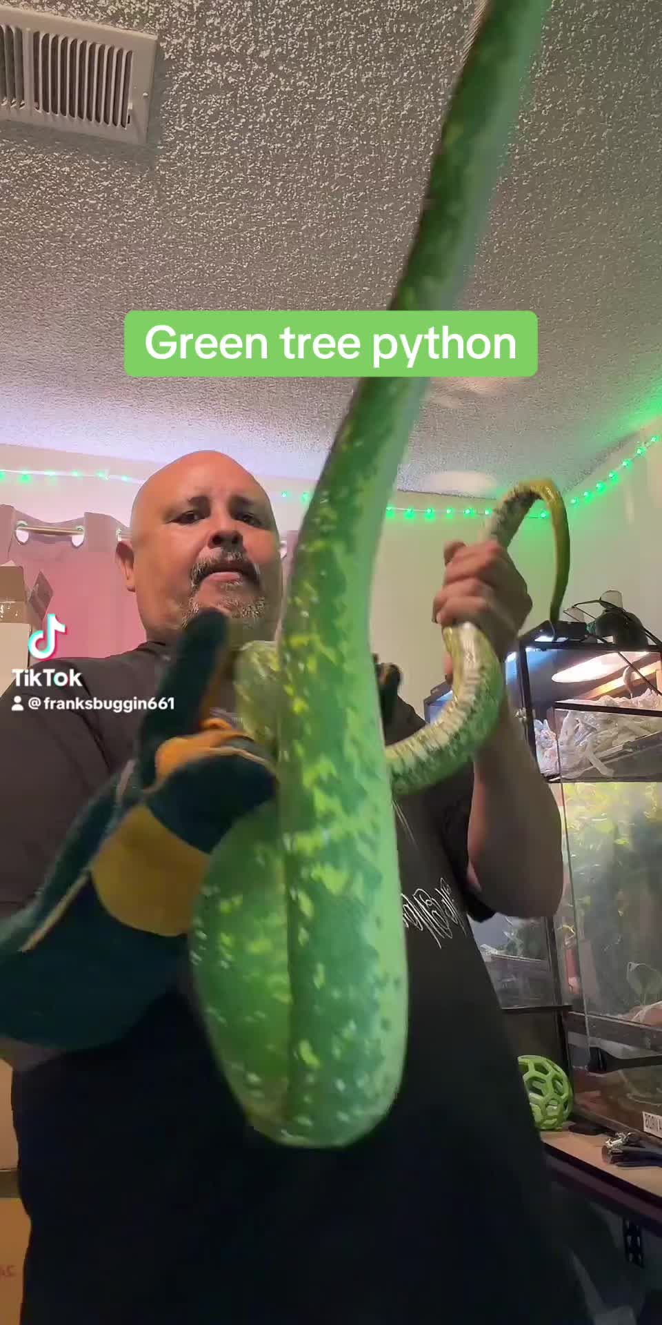 @Franksbuggin611