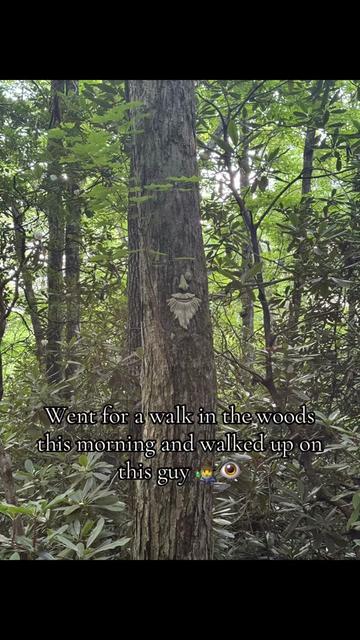 @ᛒᚱᛟᚾᛋᛟᚾathugamadr_vikingr