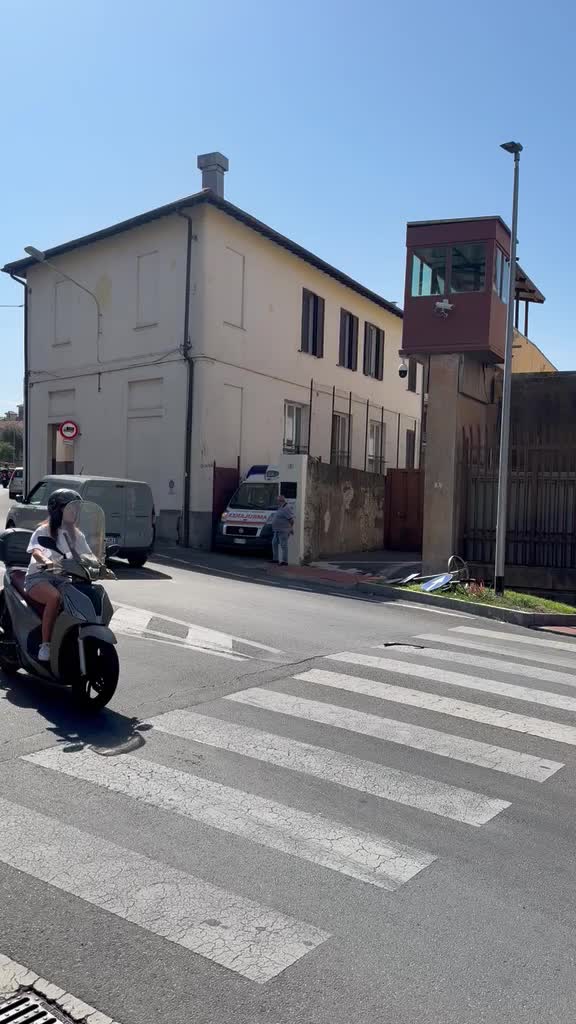@OroCervo