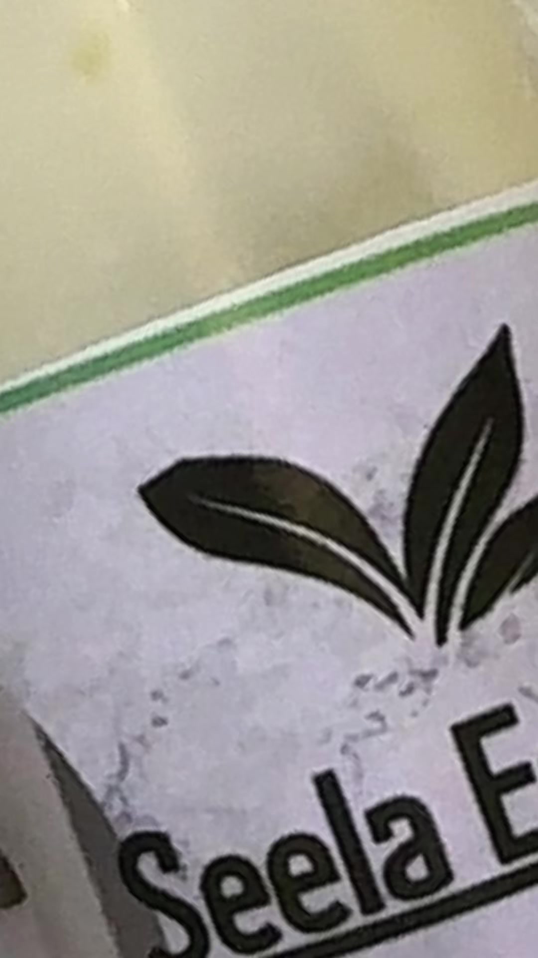 @Seela Essence🍃