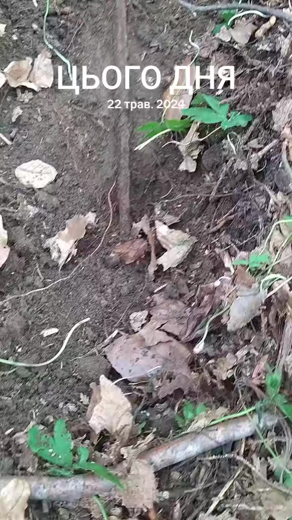 @Маківка-Броди