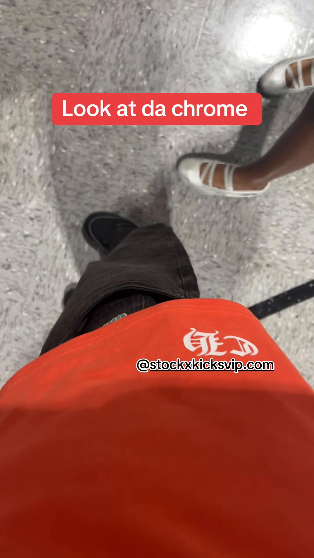 @dogssajah