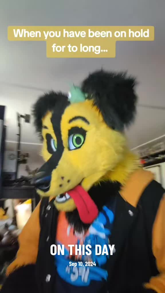 @Odie DerpDawg, MFF