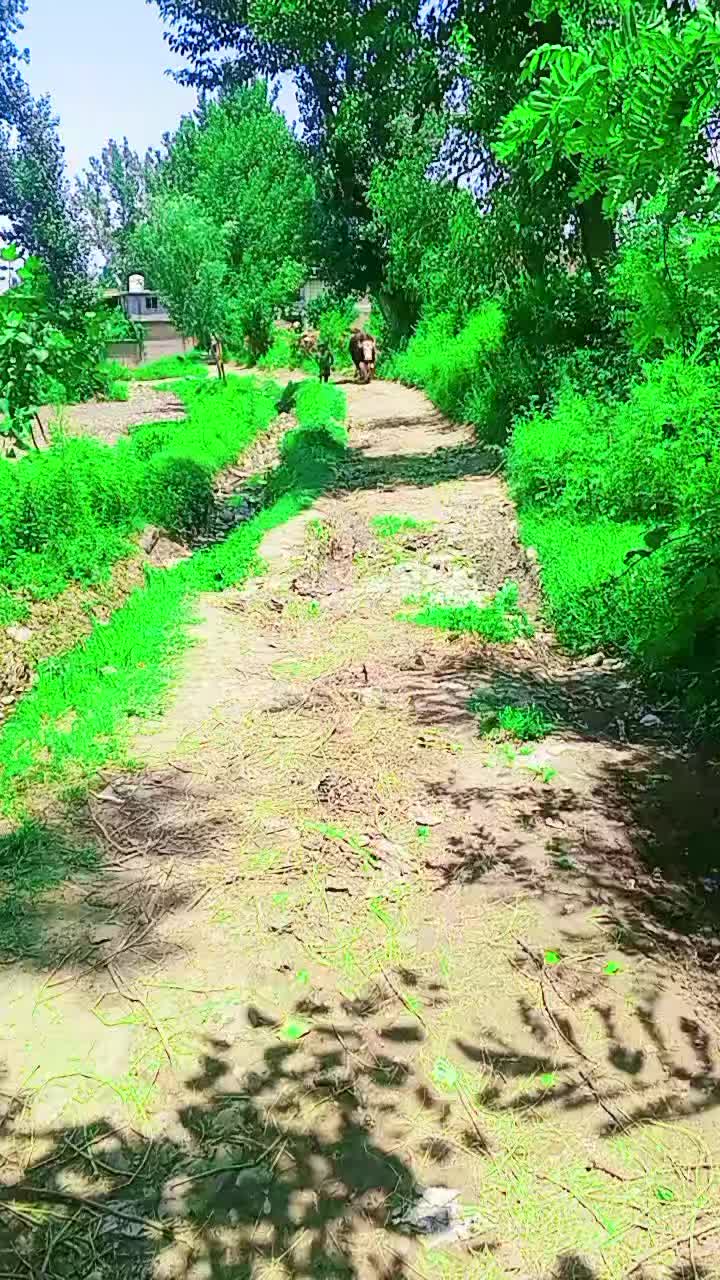 @ASAD Sarkar123