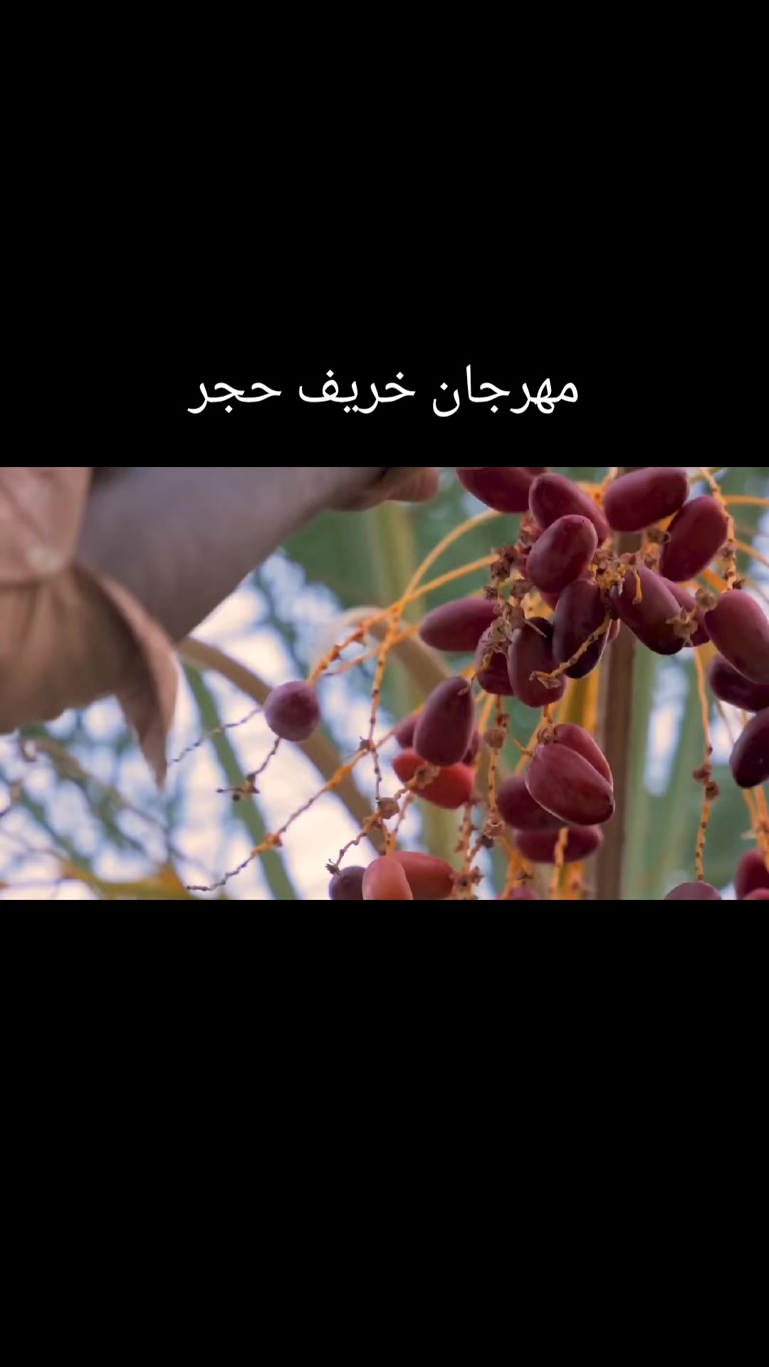 @فوزي باعلوي