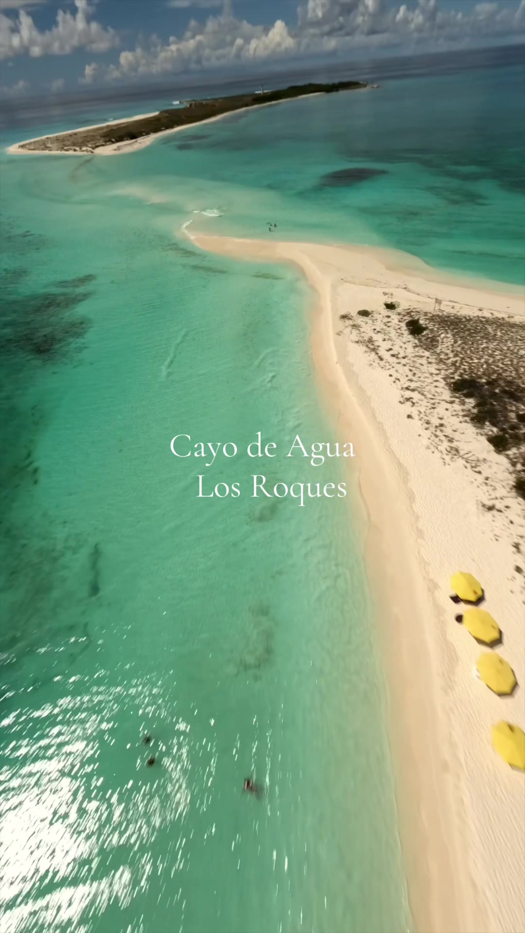 @SALMA DRONE