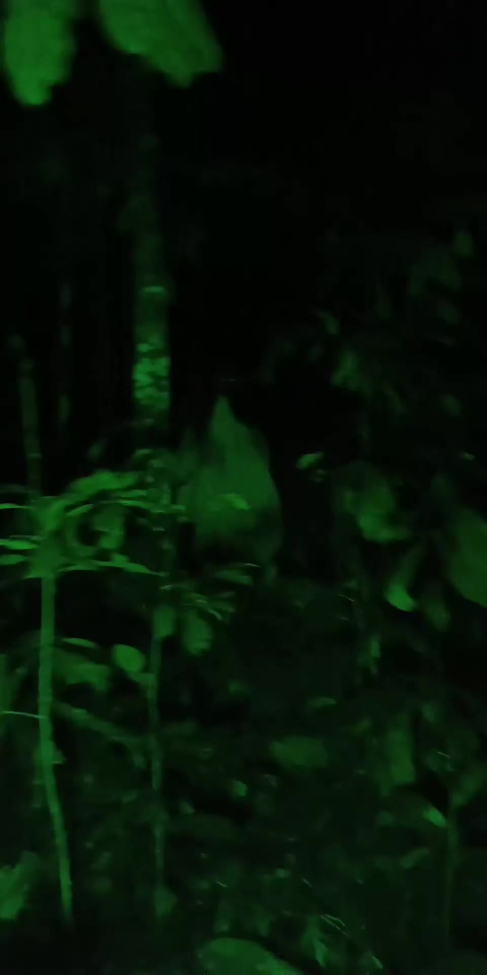 @๐๐๐ง๐๐ซ๐ ๐๐ข๐ฃ๐๐ฒ๐