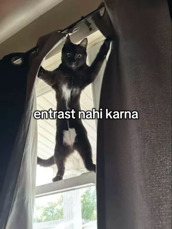 @minuuu❤️🤧👀