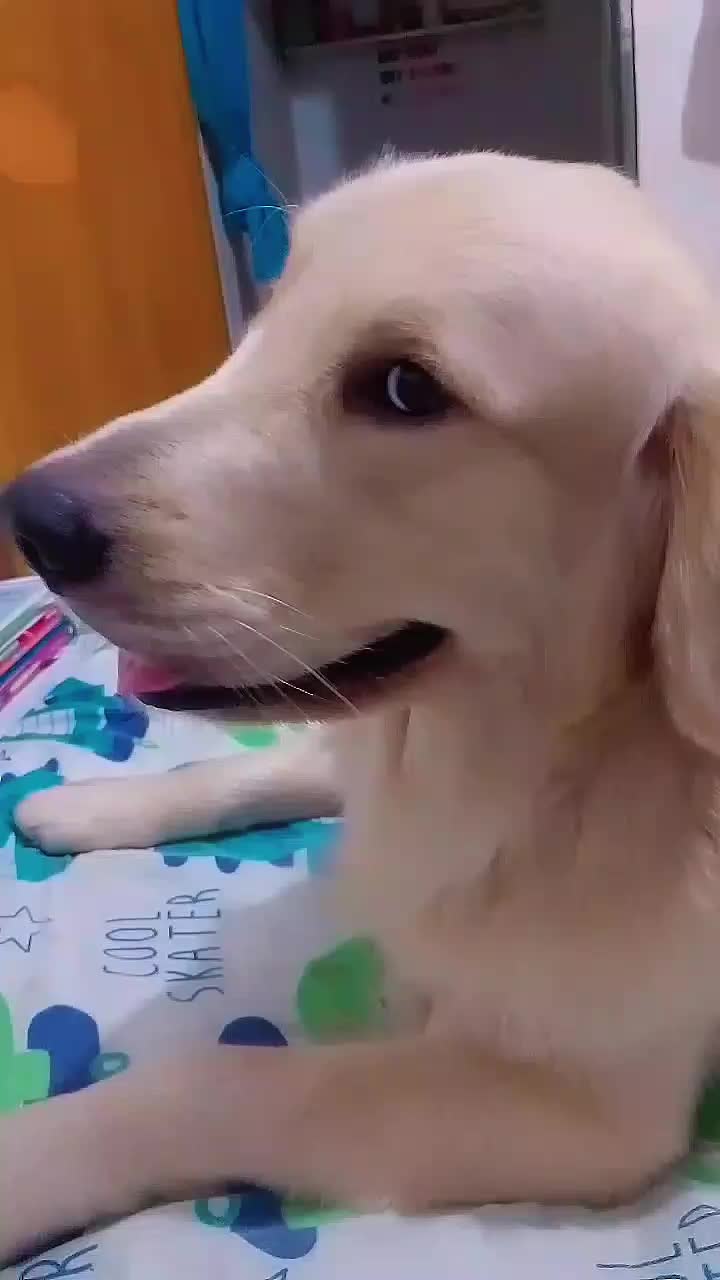 @kallen_villar e max o golden