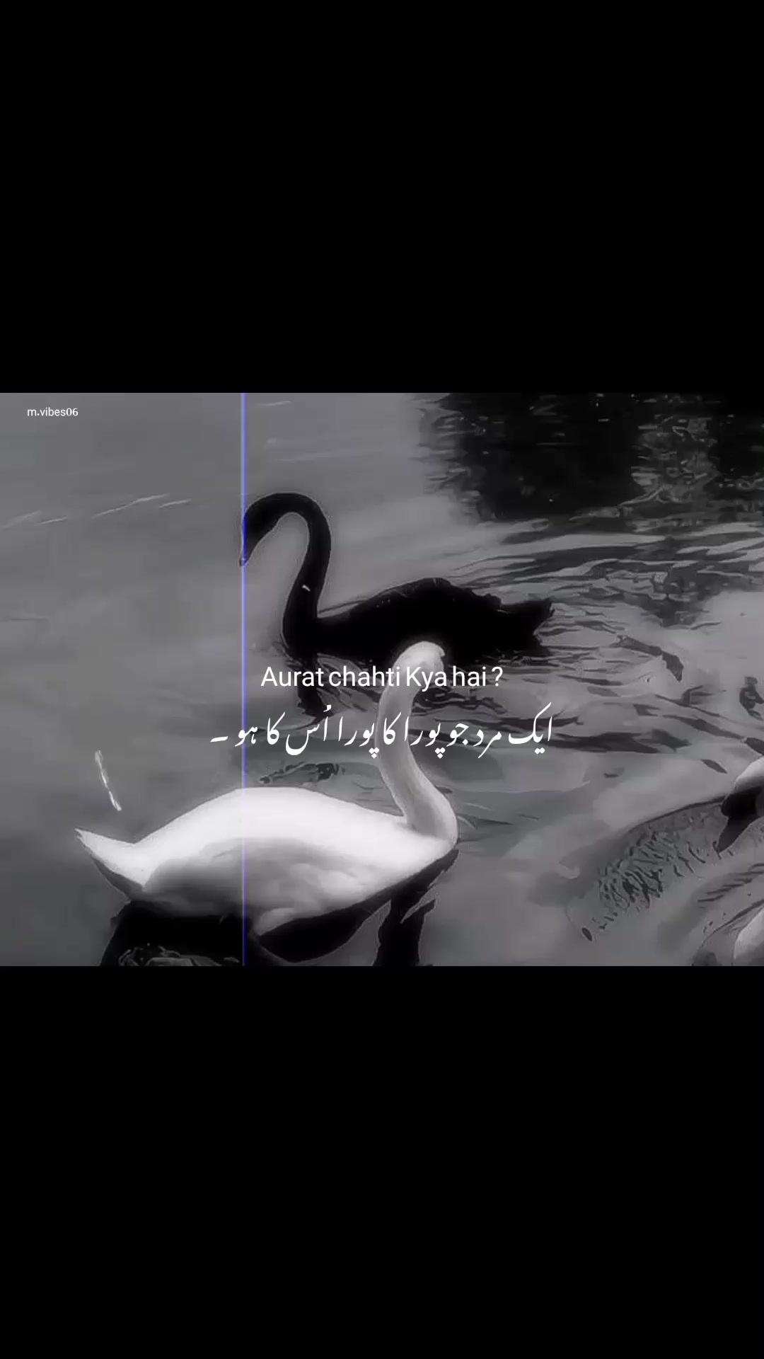 @🦢.